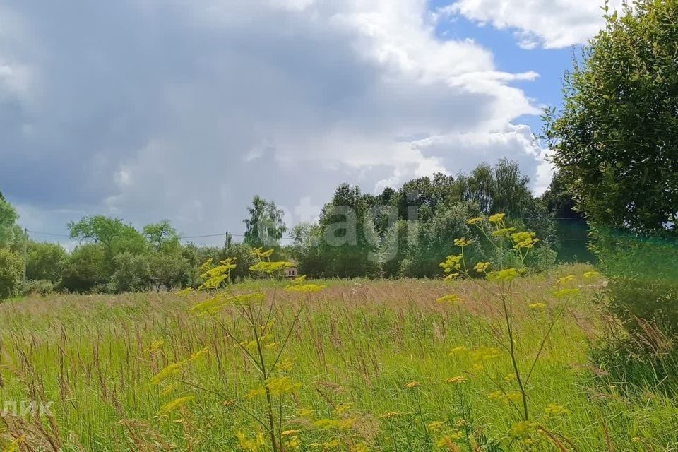 земля р-н Малоярославецкий село Детчино фото 1