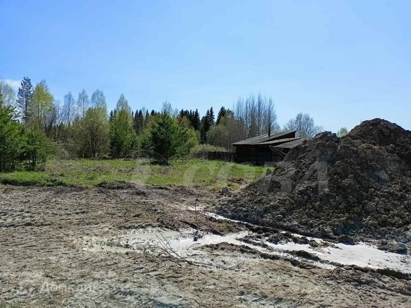 земля р-н Нижнетавдинский село Тюнево фото 3