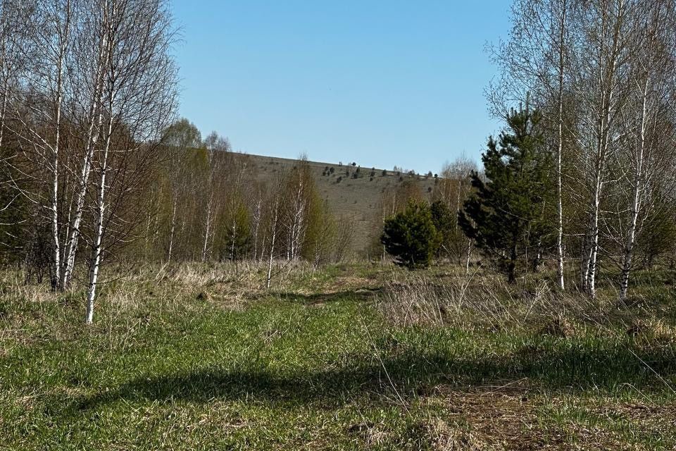 земля р-н Новокузнецкий Кемеровская область — Кузбасс, село Куртуково фото 4