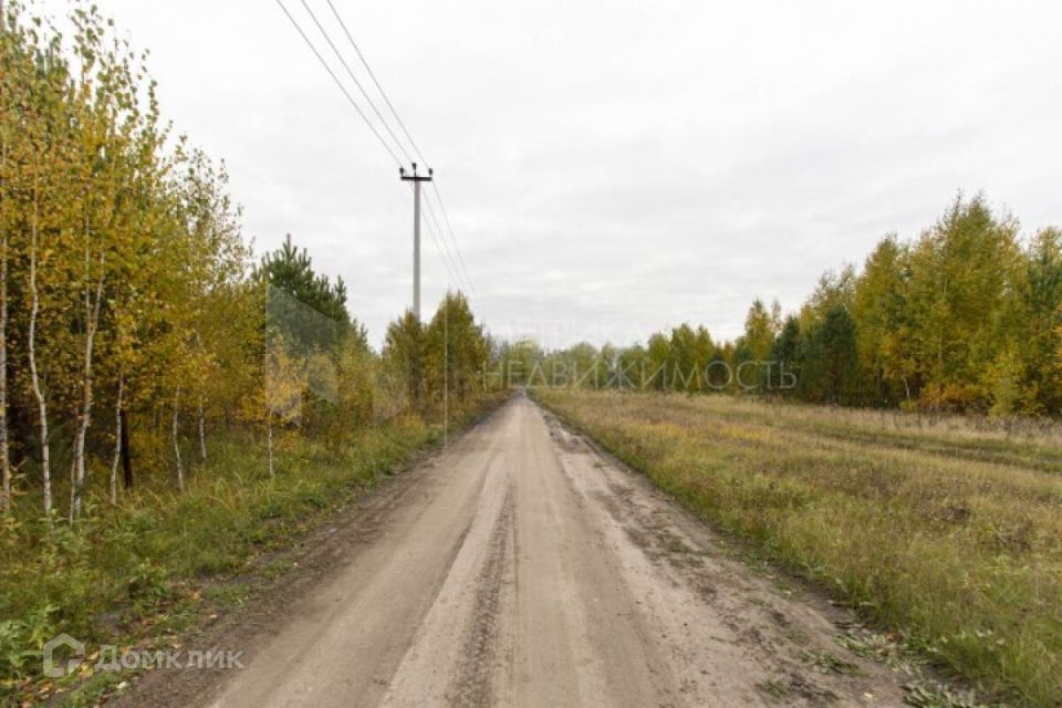 земля р-н Нижнетавдинский деревня Московка фото 2