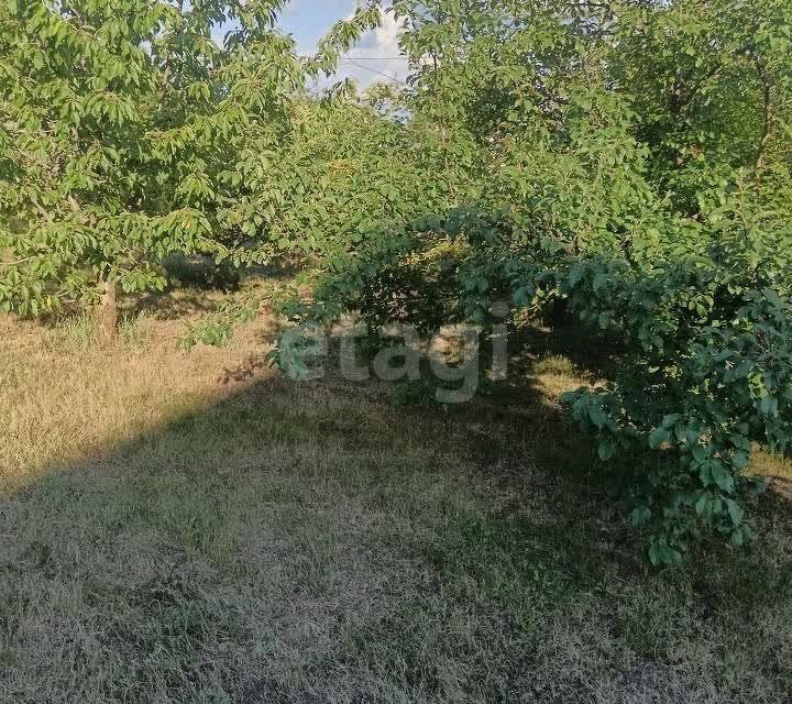 земля р-н Белгородский село Зелёная Поляна фото 4