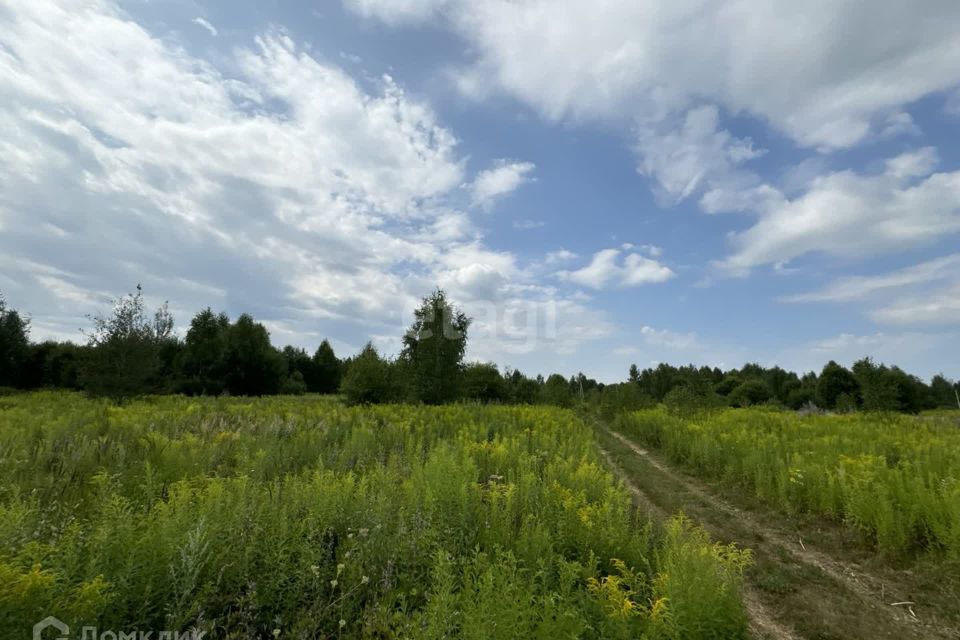 земля р-н Городецкий деревня Чуркино фото 4