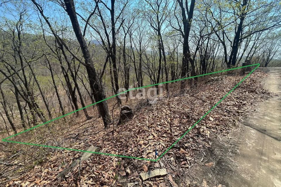 земля г Артем снт Гранит-3 Артёмовский городской округ, 3 фото 4