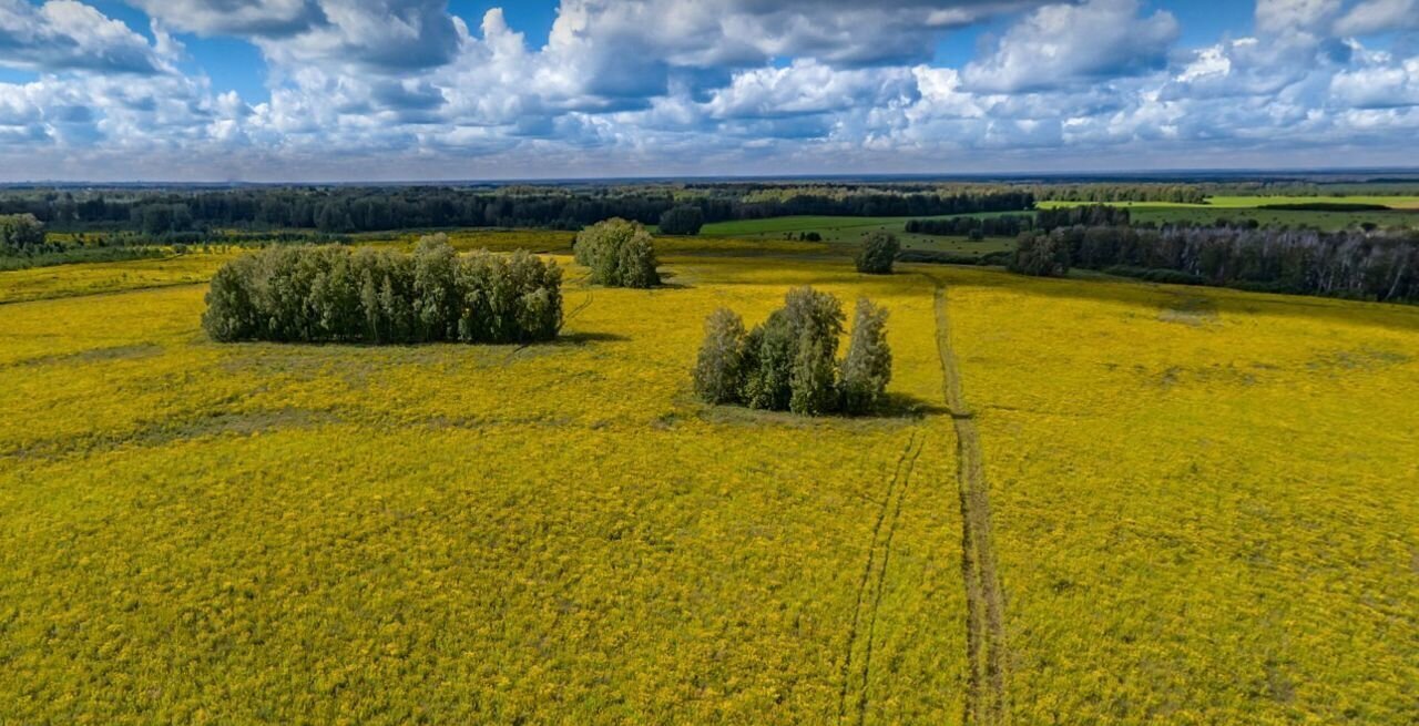 земля р-н Мошковский п Барлакский сельсовет, Сокур фото 4