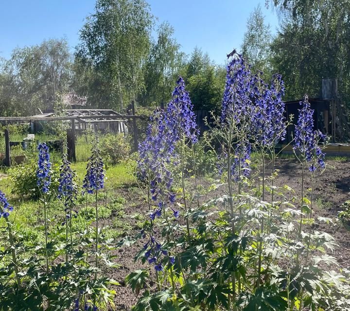 дом г Якутск с Маган городской округ Якутск, садово-огородническое товарищество Вираж фото 6