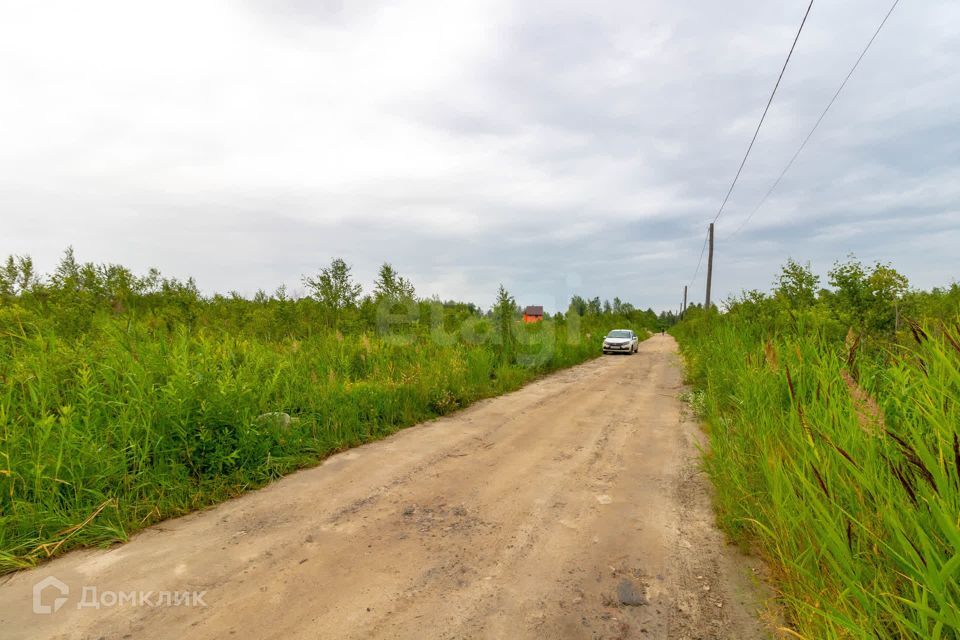 земля г Тюмень снт Зеленая Роща городской округ Тюмень, 11-я улица фото 7