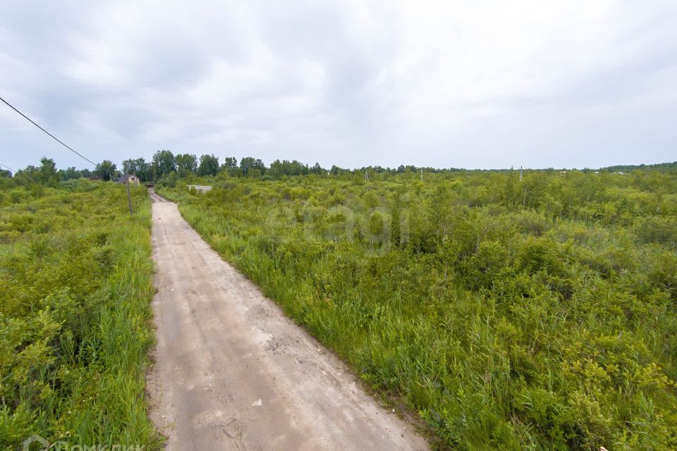 земля г Тюмень снт Зеленая Роща городской округ Тюмень, 11-я улица фото 8