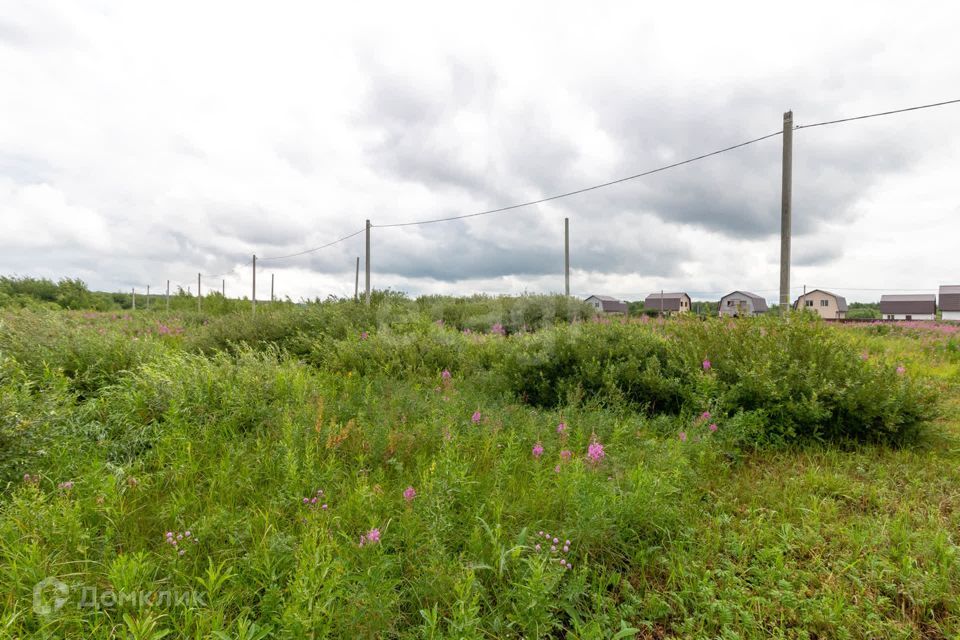 земля г Тюмень городской округ Тюмень, Верхний Бор фото 6