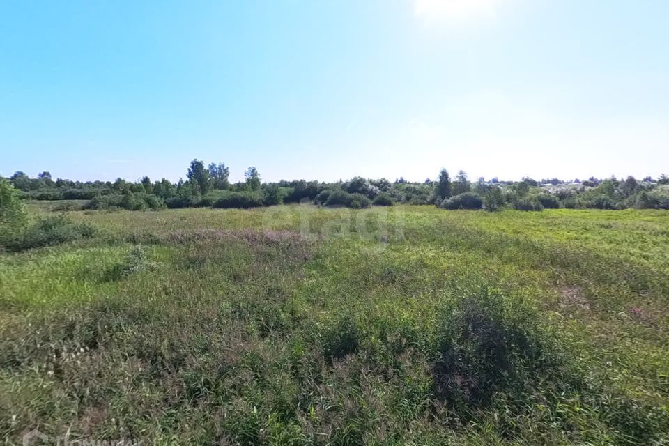 земля г Тюмень городской округ Тюмень, садовое товарищество Поле Чудес фото 6