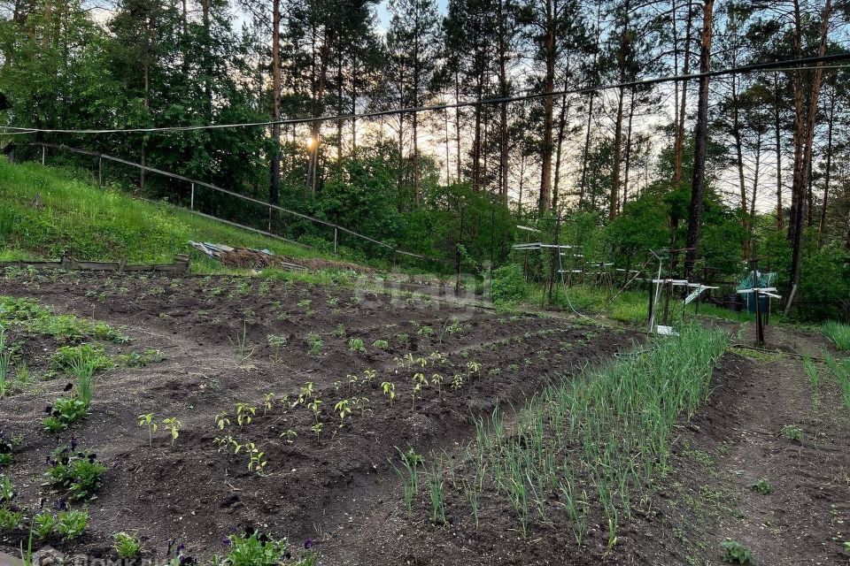 дом р-н Благовещенский село Новинка фото 6