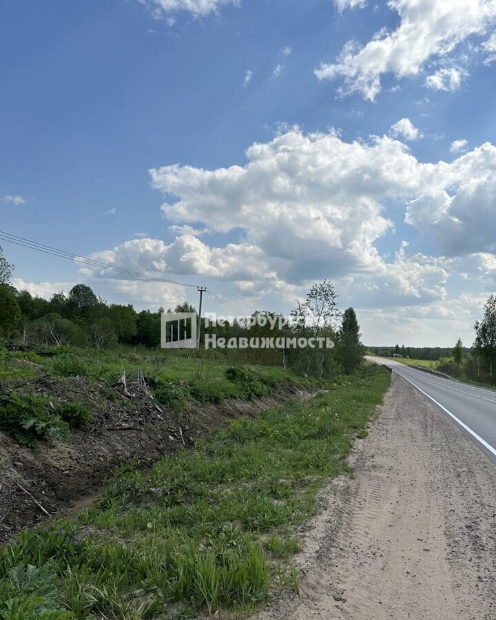 земля р-н Кировский д Пухолово Московское шоссе, 9758 км, Мгинское городское поселение, Мга фото 3