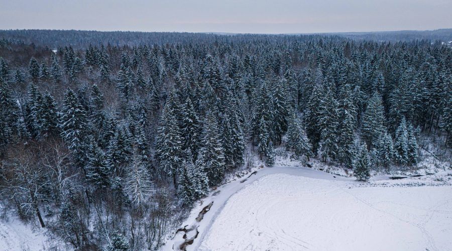 земля городской округ Клин д Давыдково фото 6