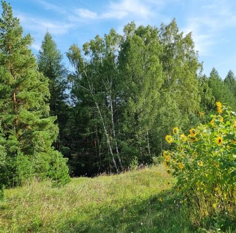 земля ул Магистральная 30 Тюменяковский сельсовет фото