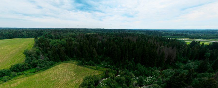 земля городской округ Истра д Давыдково фото 14