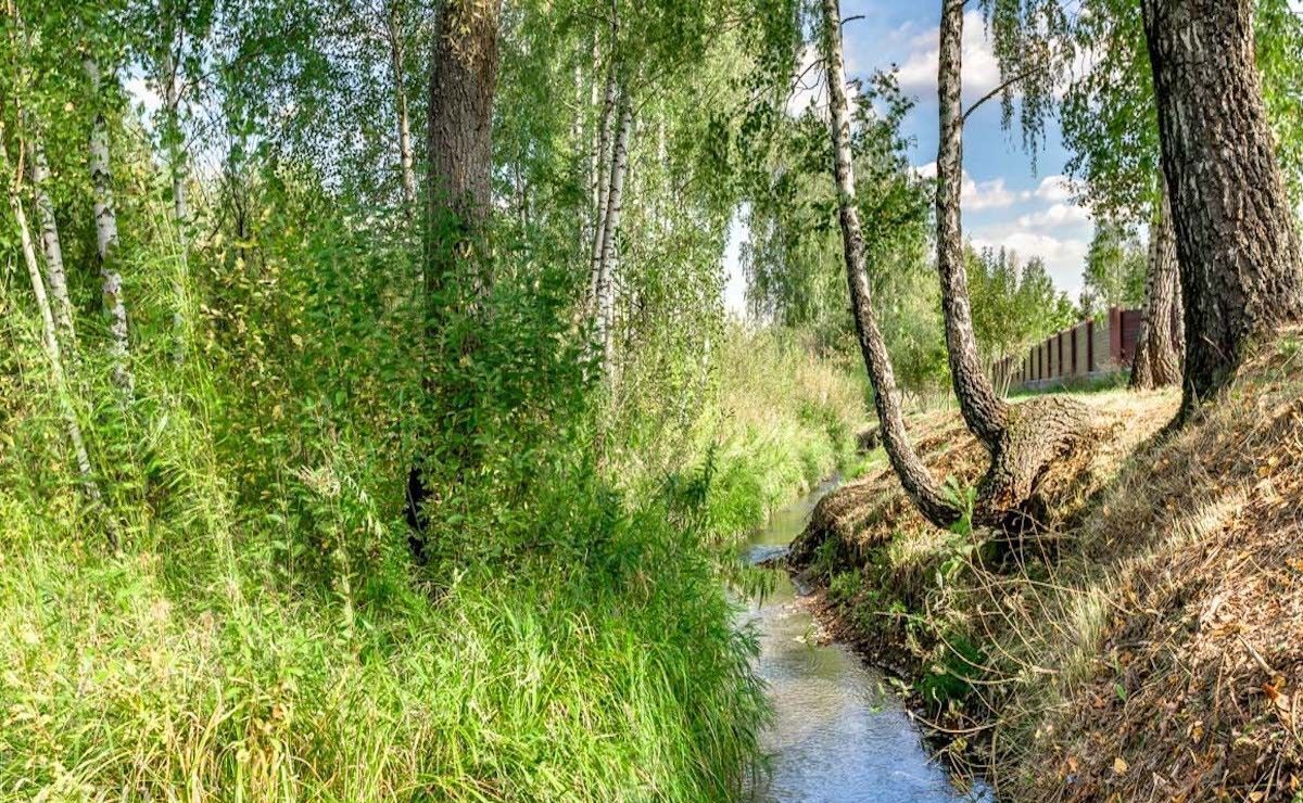 земля городской округ Одинцовский д Раздоры 5 км, коттеджный пос. Раздоры-2, Красногорск, Рублёво-Успенское шоссе фото 3