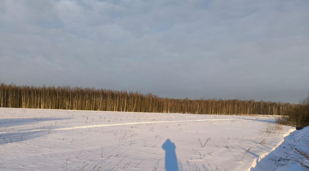 земля городской округ Раменский д Васильево Котельники, 17 фото 2