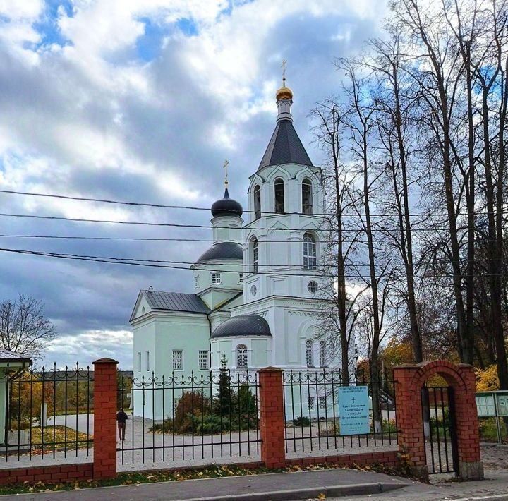 земля г Москва п Первомайское ТиНАО № 390 кв-л фото 9