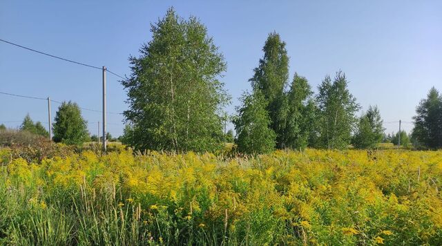 р-н Октябрьский снт Заря садоводческое товарищество фото