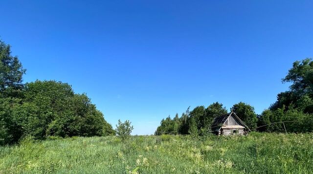 земля ул Заозерная Александровское с/пос фото