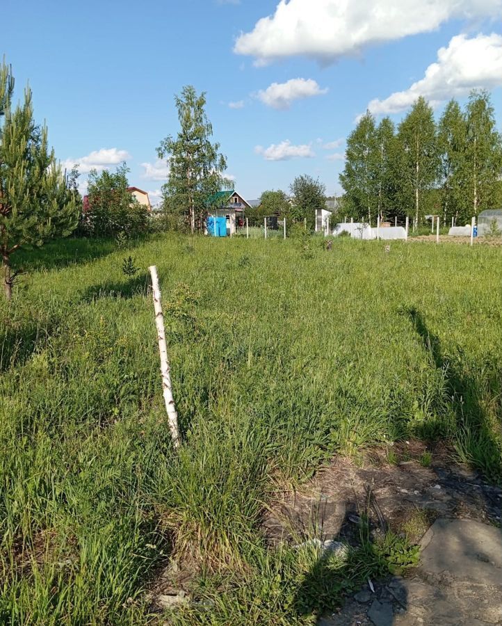 земля р-н Медведевский снт Подборное Сидоровское сельское поселение, квартал № 28, Йошкар-Ола фото 4