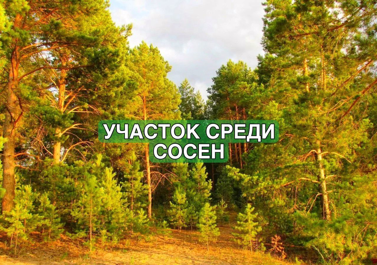 земля городской округ Ступино с Семёновское 9782 км, Михнево, Новокаширское шоссе фото 1