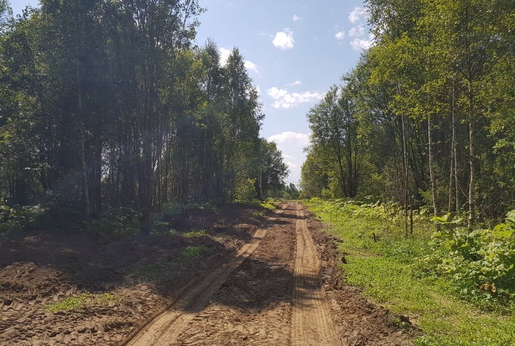 земля городской округ Рузский д Андрейково фото 27