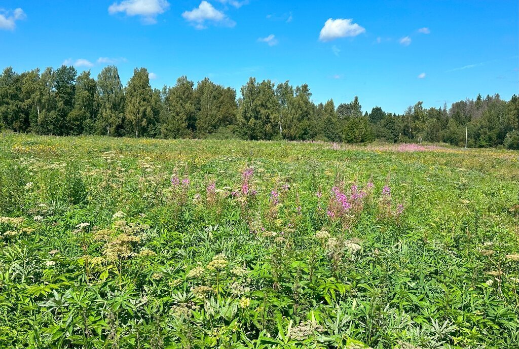 земля городской округ Клин д Решоткино ул Мира фото 1