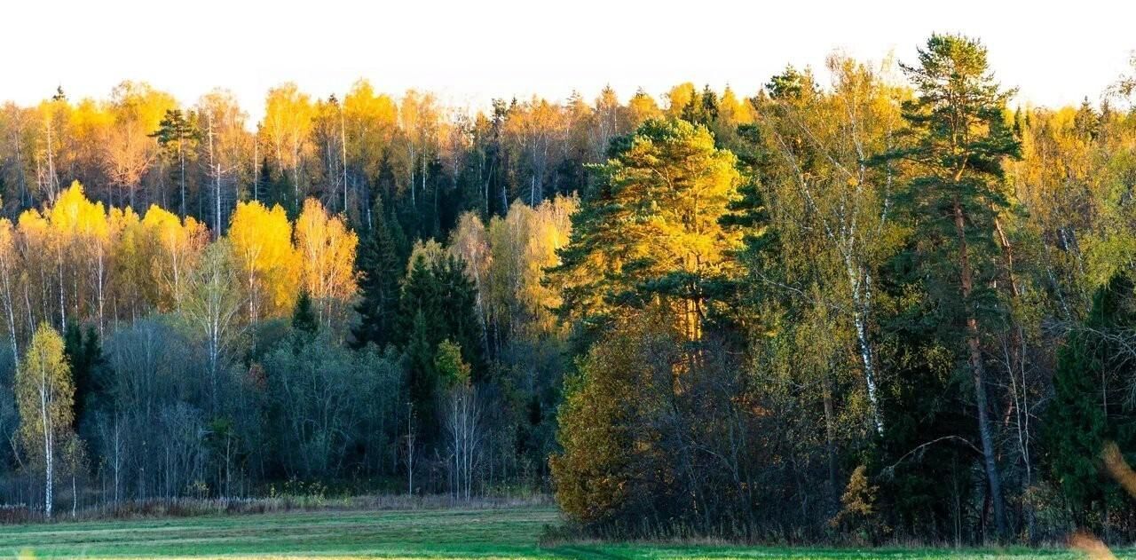 дом городской округ Сергиево-Посадский Верба парк кп фото 7