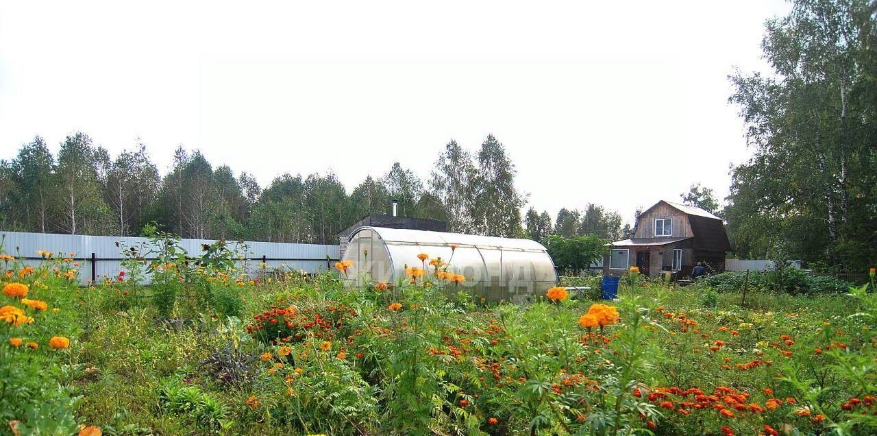 дом р-н Новосибирский с Ленинское Морской сельсовет, Поселок Новониколаевский ДНТ фото 6