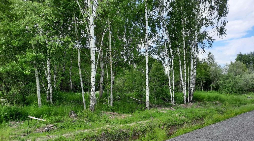 земля городской округ Чехов п Любучаны фото 5