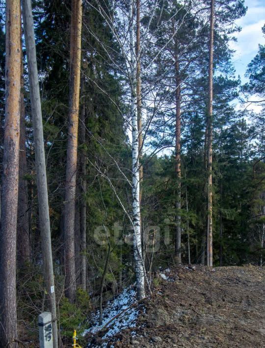 земля г Томск р-н Советский ул. Нарочанская фото 16