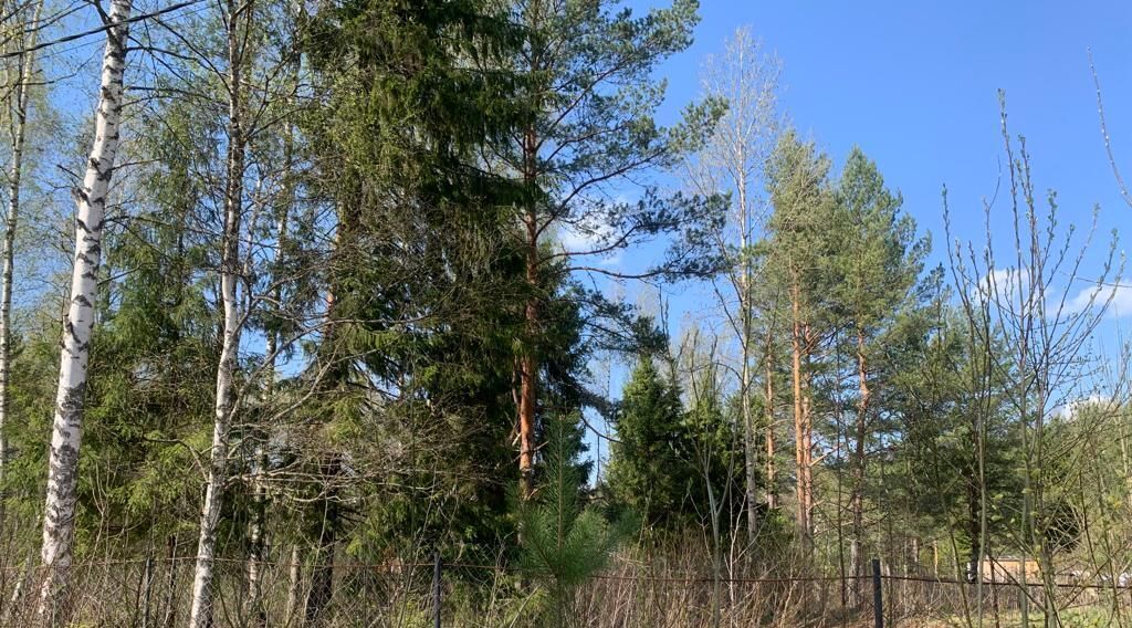 земля р-н Переславский д Криушкино ул Сосновая Переславль-Залесский городской округ фото 4