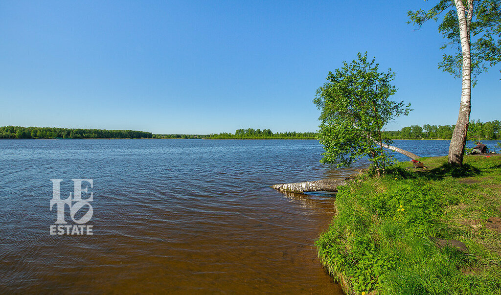 земля городской округ Мытищи д Степаньково фото 17