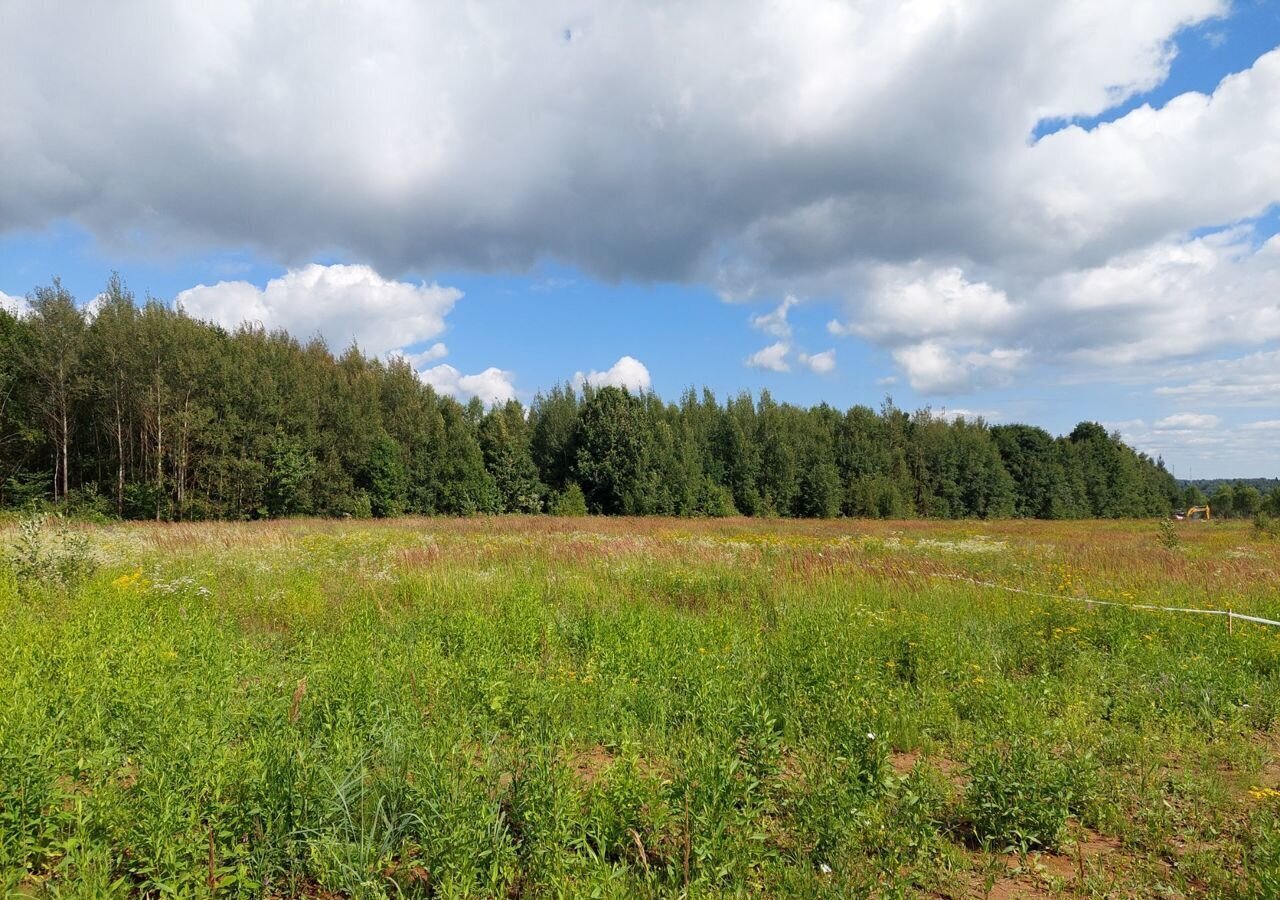 земля городской округ Дмитровский д Дмитровка 9754 км, Менделеево, Рогачёвское шоссе фото 4