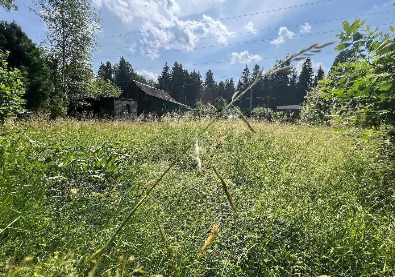 земля городской округ Клин д Покровка 9779 км, Солнечногорск, Ленинградское шоссе фото 16