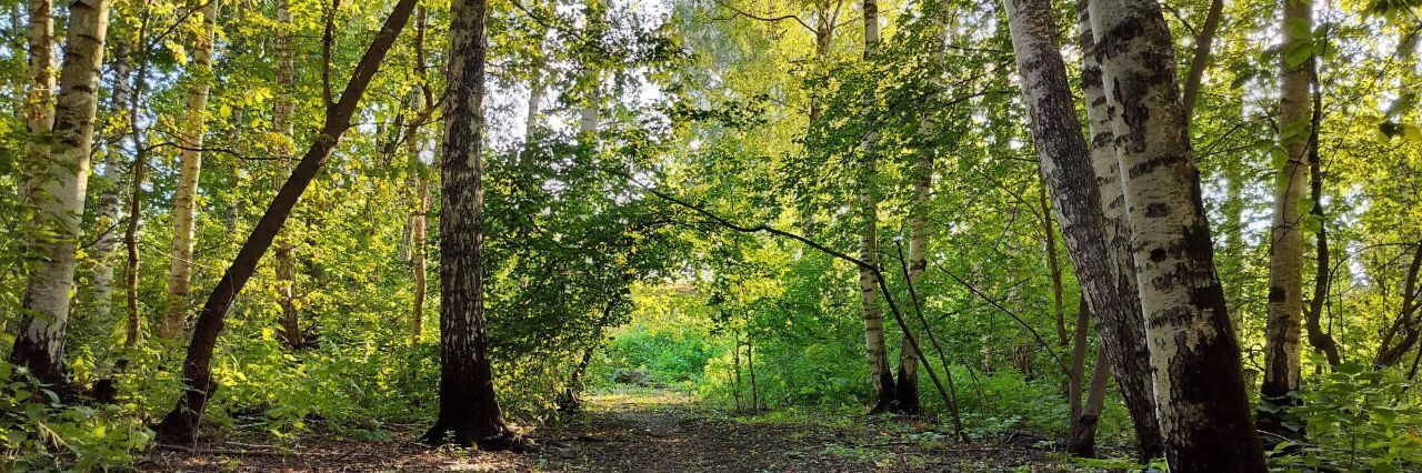 дом р-н Сосновский с Кулеватово ул Садовая 33 фото 25