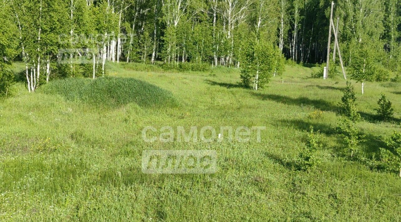 земля р-н Сосновский д Полетаево 2-е Полетаевское с/пос фото 10