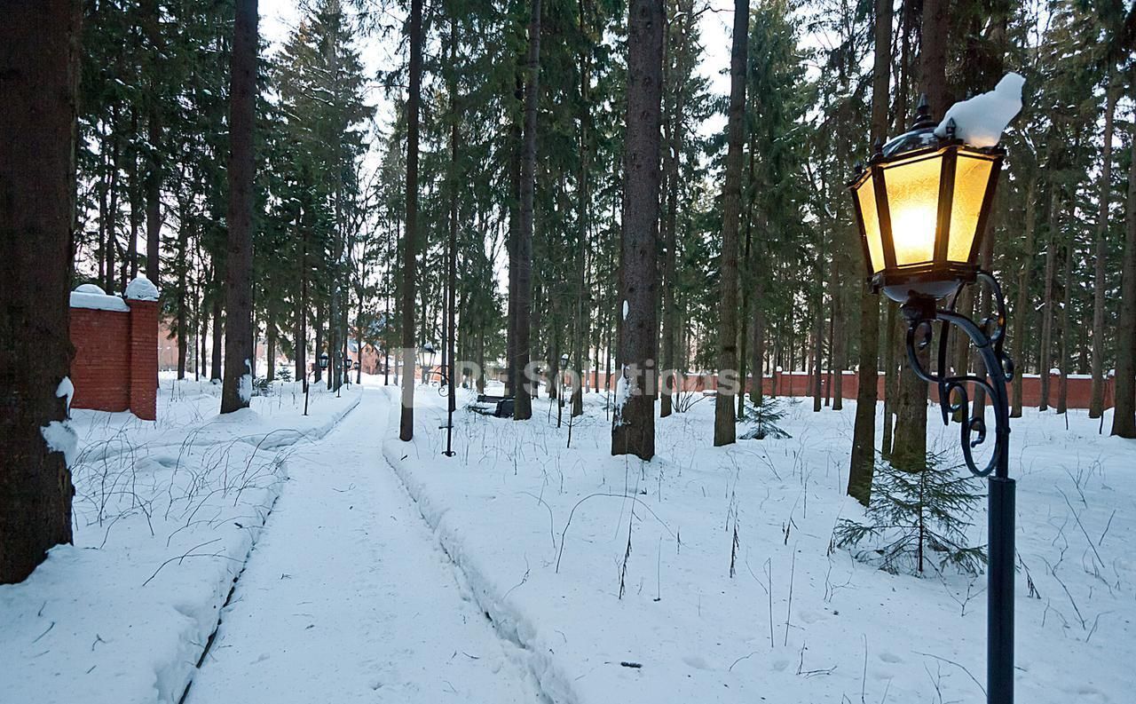 земля городской округ Одинцовский д Таганьково 9744 км, 35, Горки-10, Рублёво-Успенское шоссе фото 2