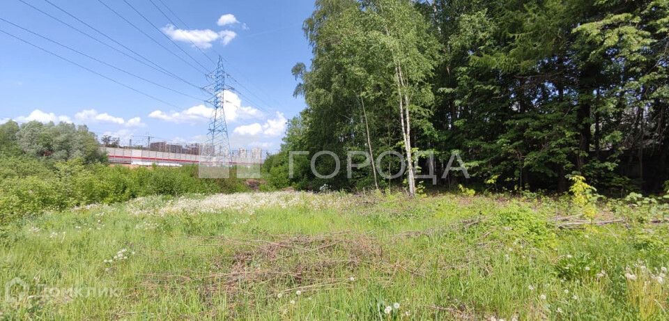 земля г Одинцово тер ДСК Сельскохозяйственный 242, Одинцовский городской округ фото 8