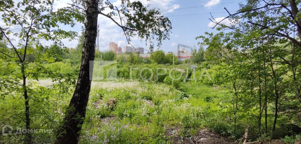 земля г Одинцово тер ДСК Сельскохозяйственный 242, Одинцовский городской округ фото 9