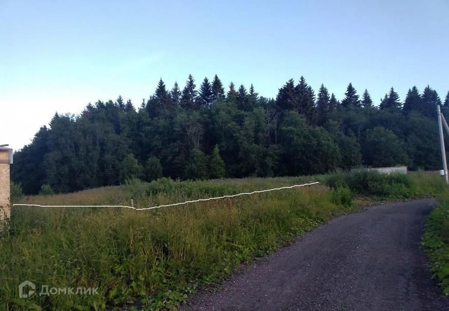 земля р-н Волосовский садовое некоммерческое товарищество Греческое фото 5