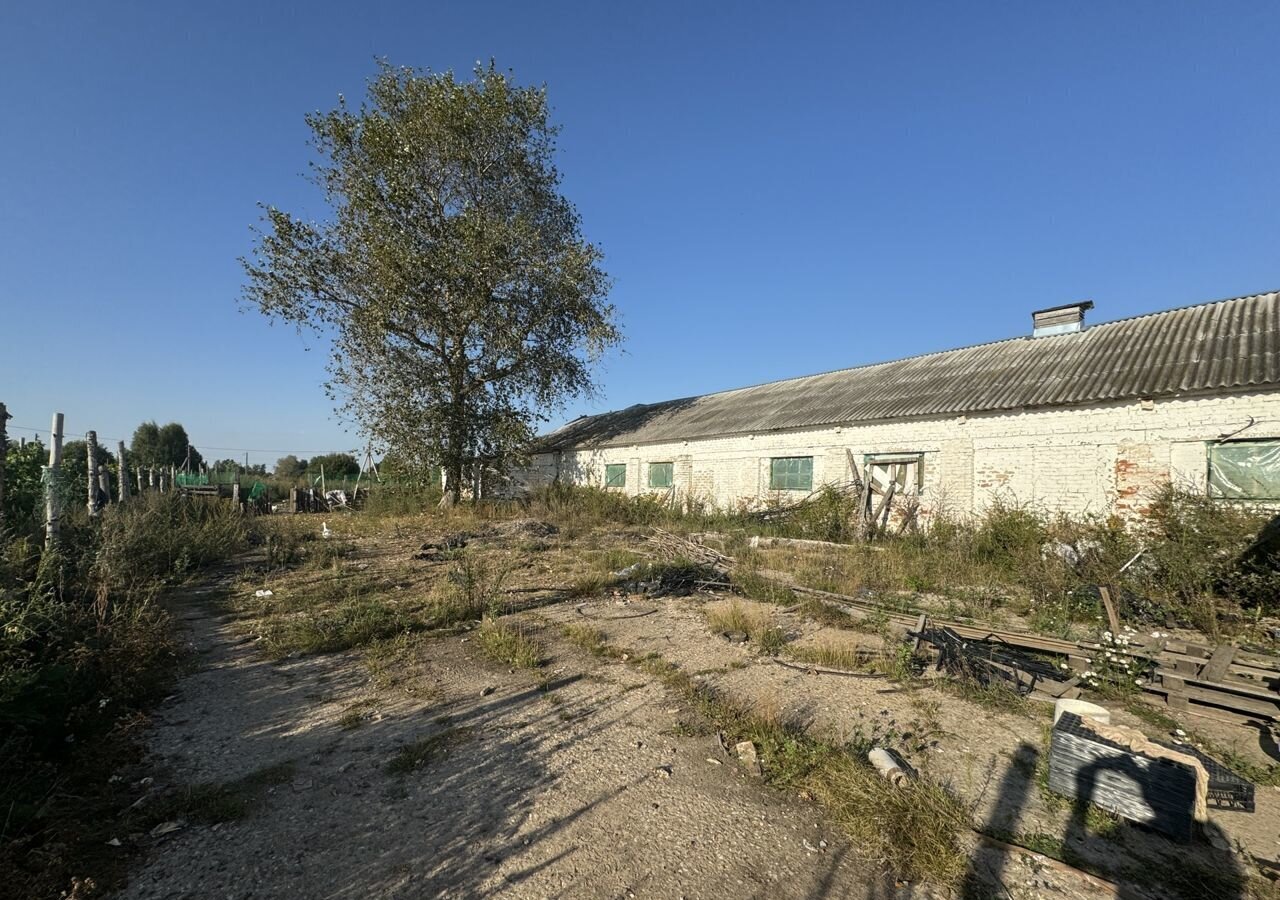 свободного назначения городской округ Дмитровский д Кочергино 1С, Рогачево фото 11