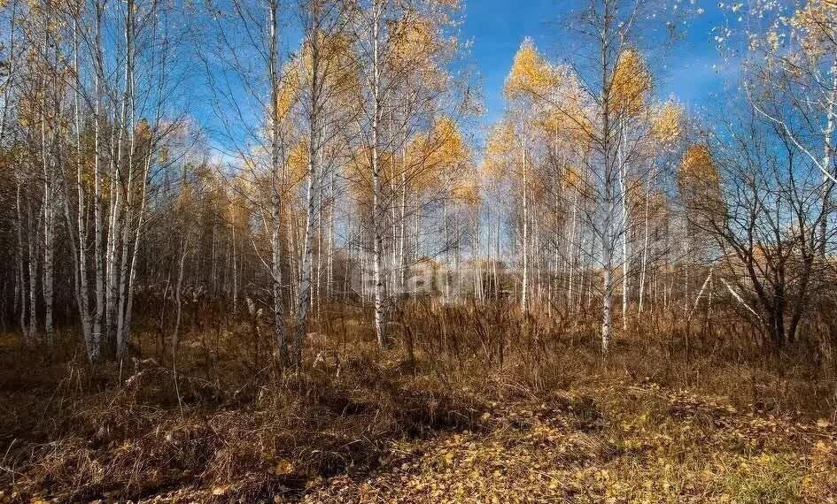 земля р-н Нижнетавдинский д Штакульская Тюмень фото 4