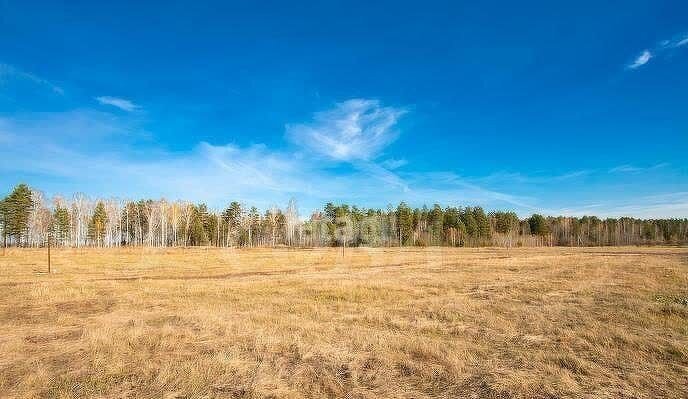 земля р-н Нижнетавдинский д Штакульская Тюмень фото 8