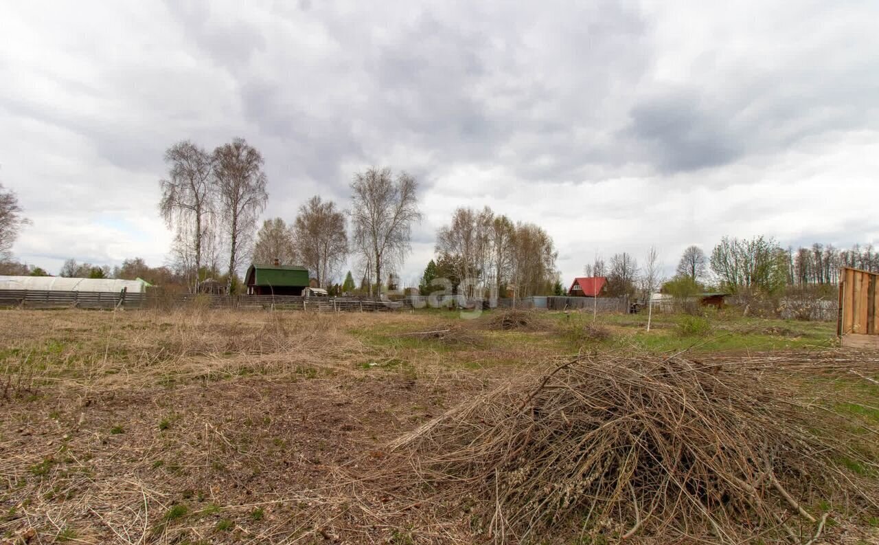 земля р-н Нижнетавдинский снт Фортуна Тюмень фото 15