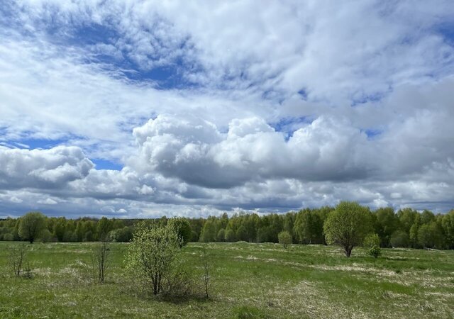 ул Первая Кольчугино фото