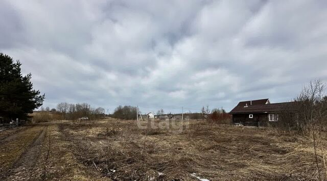 д Перховта Белозерский муниципальный округ фото