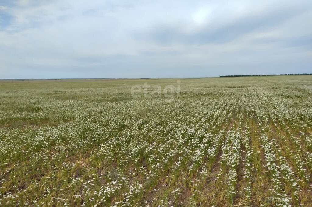 земля г Евпатория пгт Новоозерное ул Донузлавская фото 1