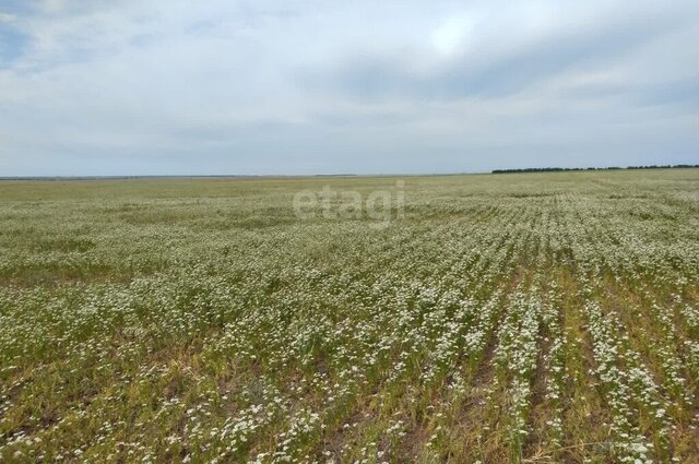 пгт Новоозерное ул Донузлавская фото