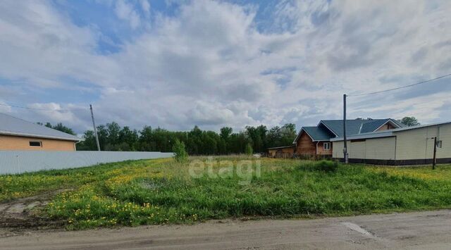 Поселок Зональная ст., Красивый пруд мкр, ул. Центральная фото